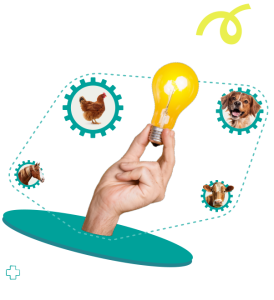 Wolf Learning Consulting