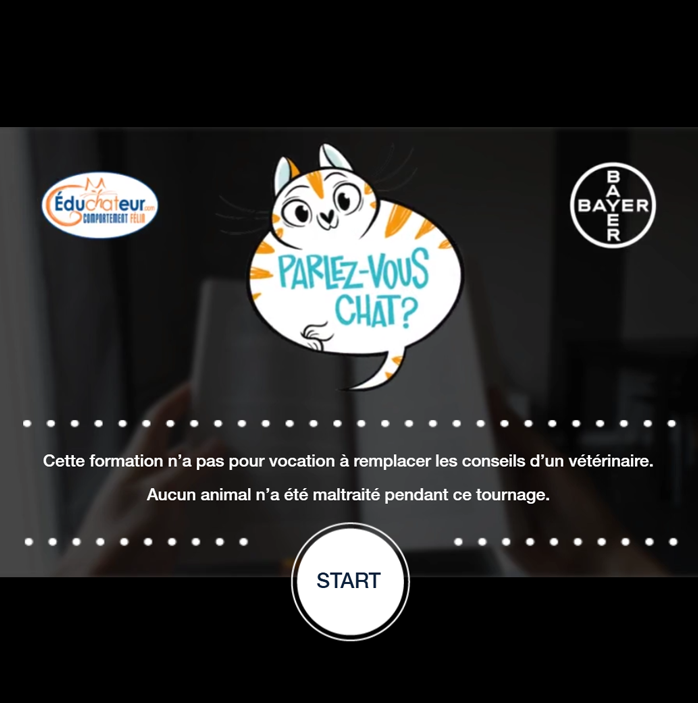 Bayer_DoYouSpeakCat_visual1