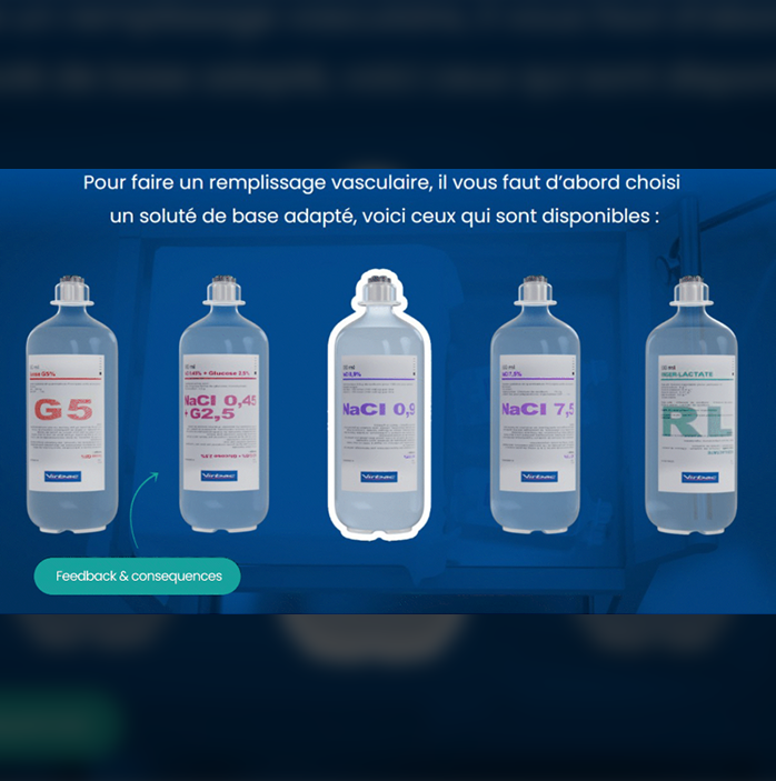 Clubvet-Virbac_Fluidotherapy_visual2