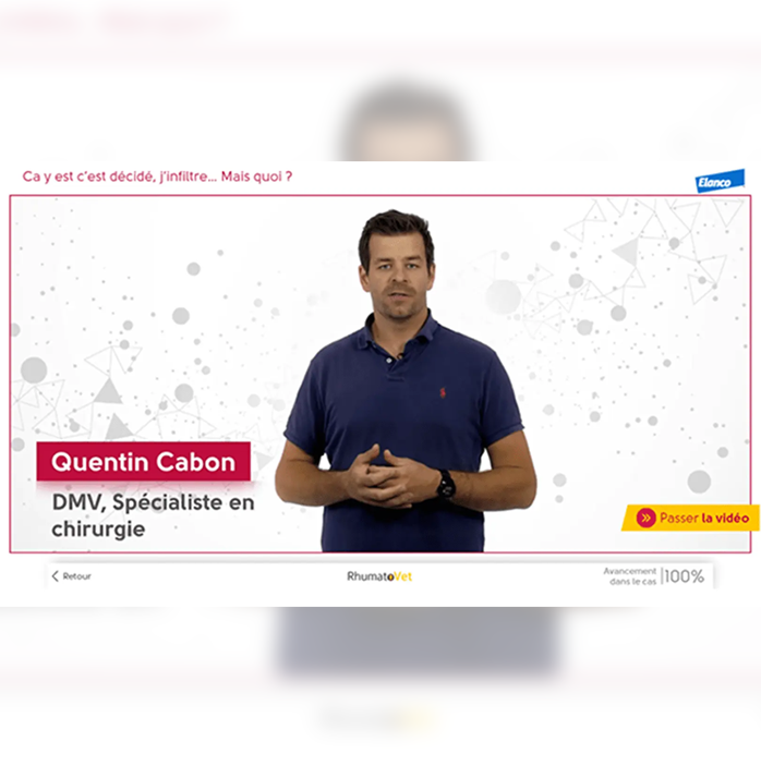 Elanco_Rhumatovet_visual2