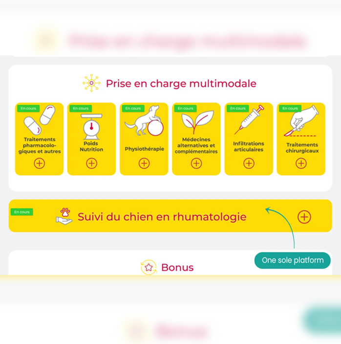 Elanco_Rhumatovet_visual3