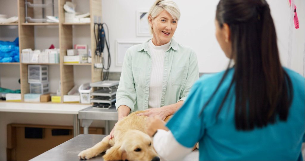 Communication-vétérinaire-propriétaire-chien