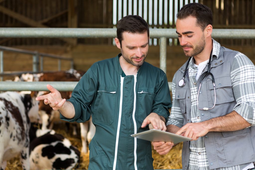 Communication between a farmer and a veterinary